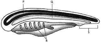 Question diagram