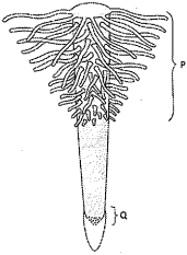 Question diagram