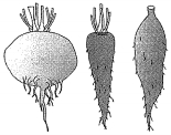 Question diagram