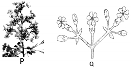 Question diagram