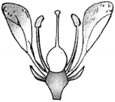 Question diagram