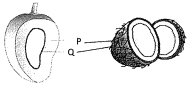 Question diagram