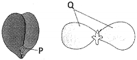 Question diagram