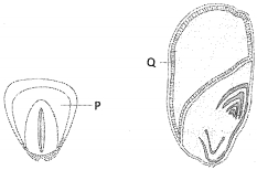 Question diagram