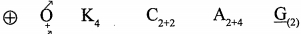 Option B