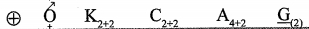 Option D