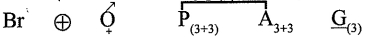 Option C