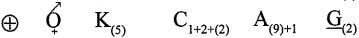 Option D