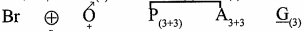 Option C