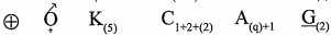 Option D