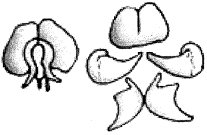 Question diagram