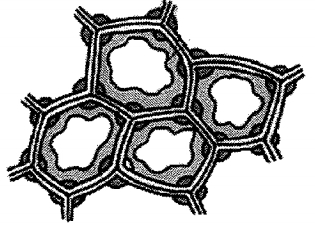 Question diagram