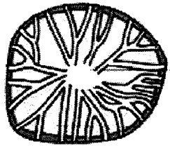 Question diagram