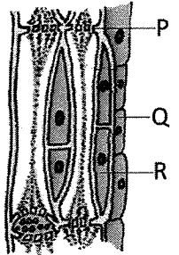 Question diagram