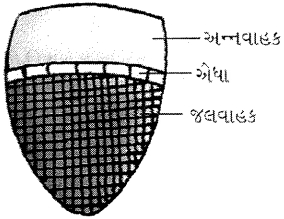 Question diagram