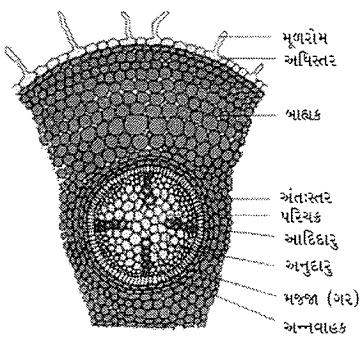 Question diagram