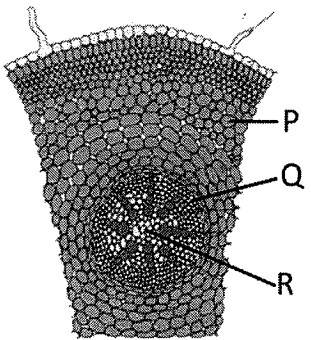 Question diagram