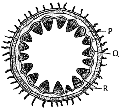 Question diagram