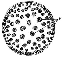 Question diagram