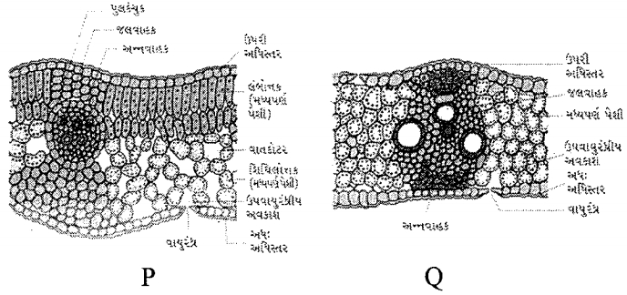 Question diagram