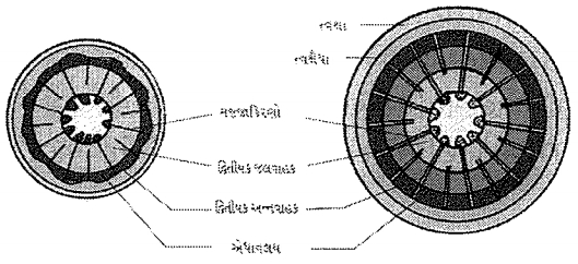 Question diagram
