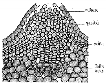 Question diagram