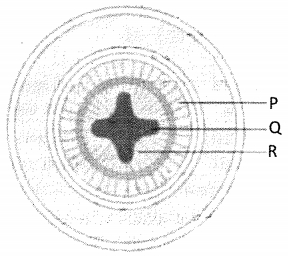 Question diagram