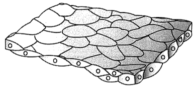 Question diagram