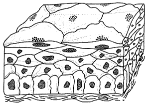 Question diagram