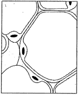 Question diagram