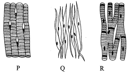 Question diagram
