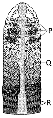 Question diagram