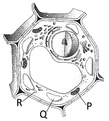 Question diagram