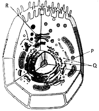 Question diagram