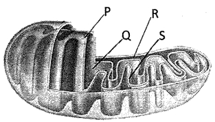 Question diagram