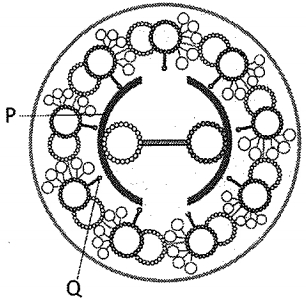 Question diagram