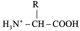 Option A