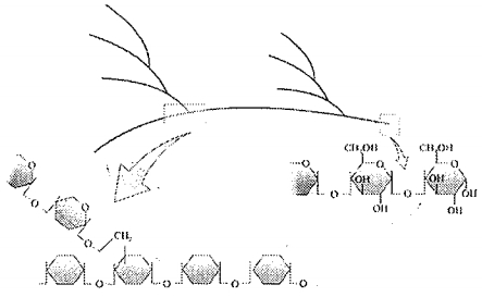 Question diagram