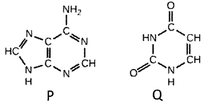 Question diagram