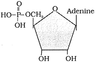 Question diagram