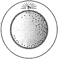 Question diagram
