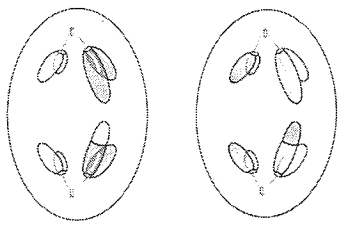 Question diagram