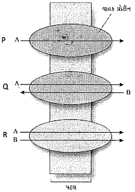 Question diagram