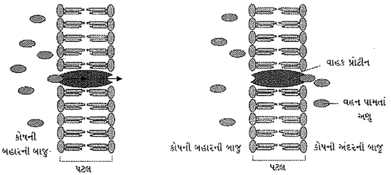 Question diagram