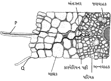 Question diagram