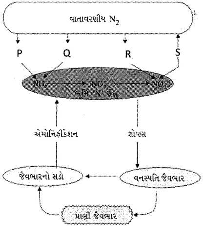 Question diagram