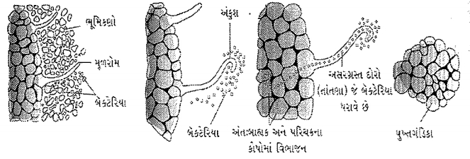 Question diagram
