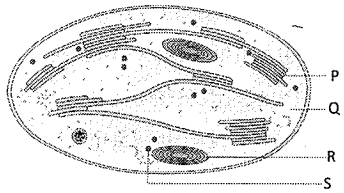 Question diagram