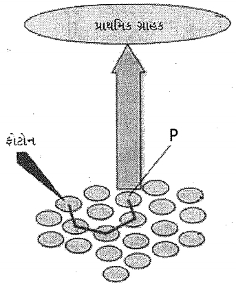 Question diagram