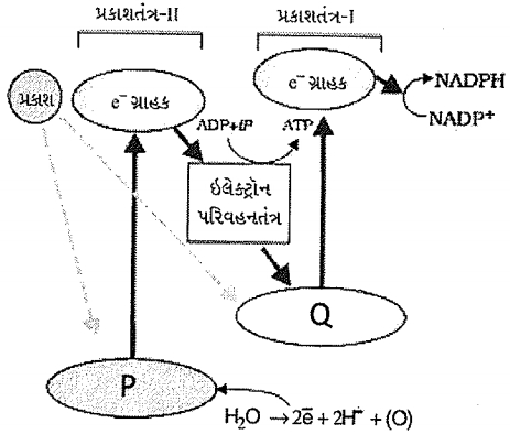 Question diagram